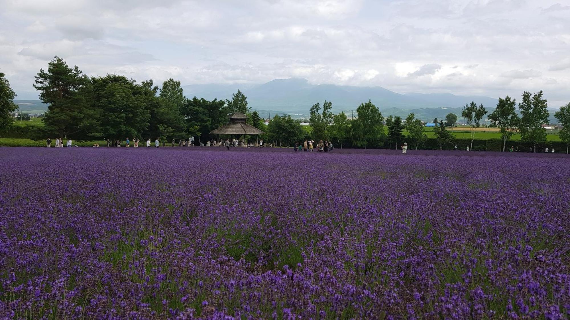 Furano B&B Dış mekan fotoğraf