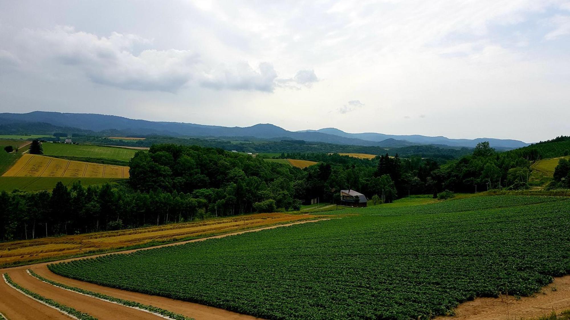 Furano B&B Dış mekan fotoğraf