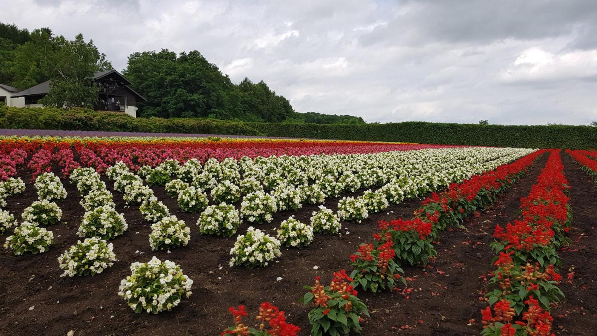 Furano B&B Dış mekan fotoğraf