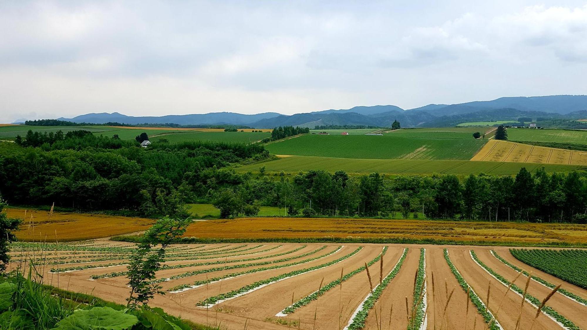 Furano B&B Dış mekan fotoğraf